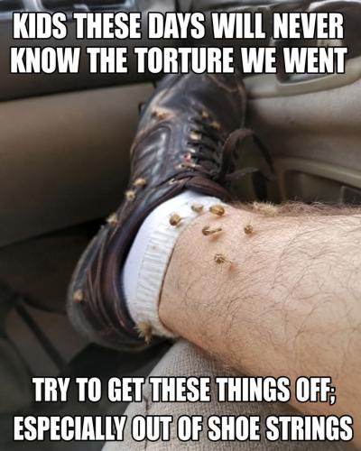 FB_IMG_1784508653189