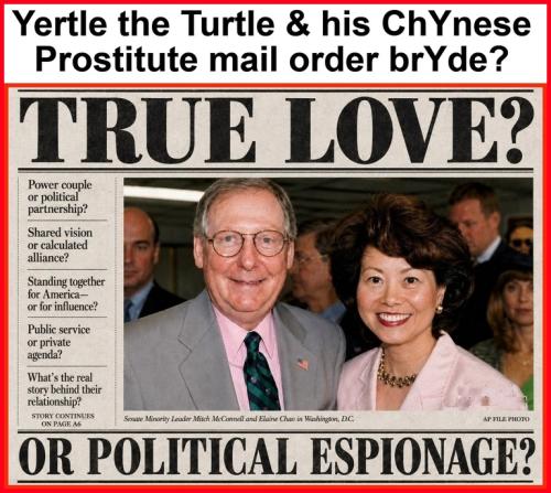 Yertle the Turtle & his mail order brYde.768px