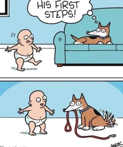 first-steps