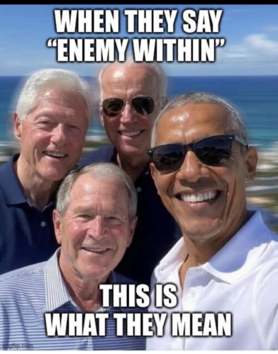 democrat enemy within