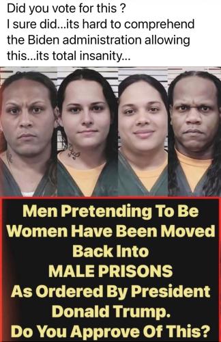 1783361703390