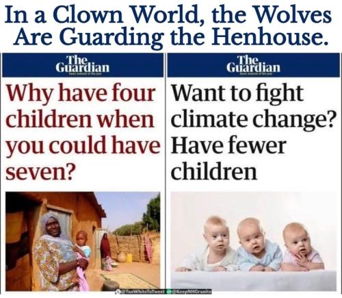 Clown world wolves guarding the henhouse.768px