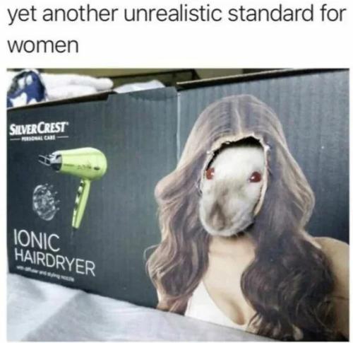 unrealistic-standard-for-women