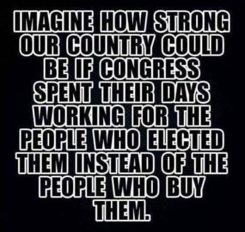 If_Congress_spent_their_time_working