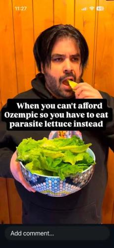 parasite-lettuce