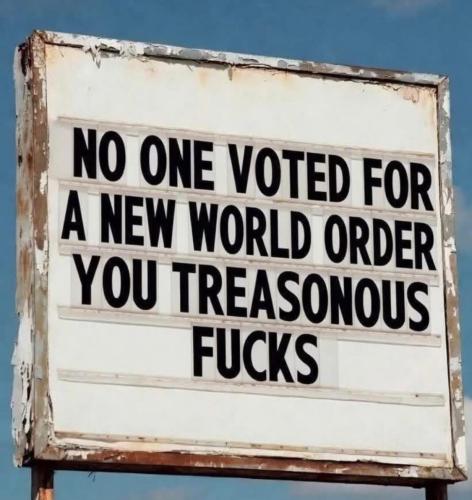 No_one_voted_for_a_new_world_order_treason