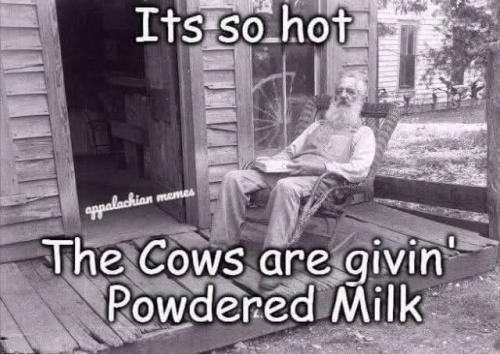 FB_IMG_1785430721671
