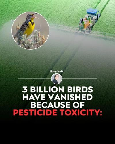 pesticide-toxicity