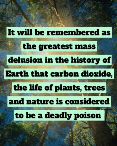 delusion