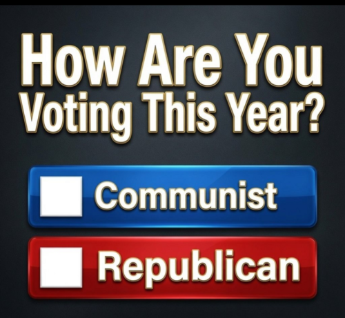 how are you voting this year