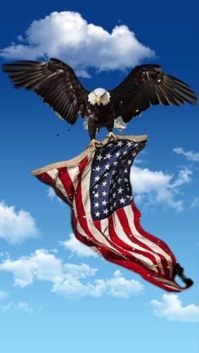 a eagle f