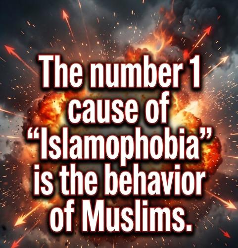 Number_one_cause_of_islamophobia_there_behavior_muz