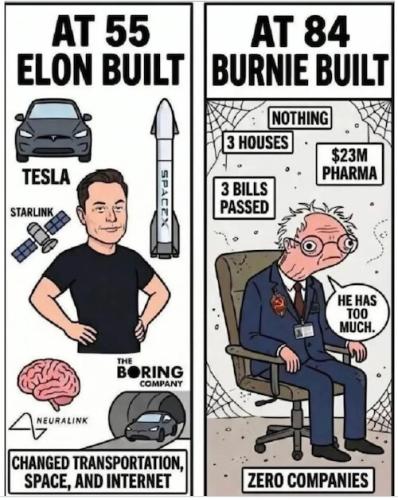 ELON MUSK BERNIE