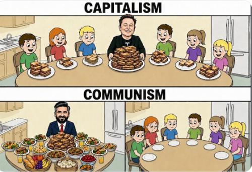 ELON CAPITLISM