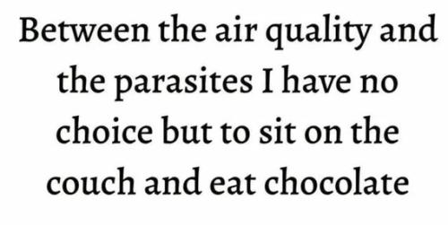 between-air-quality-and-parasites