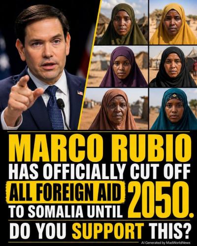 2ee44fb1-5c26-4fd3-8fcb-c9a927a99530