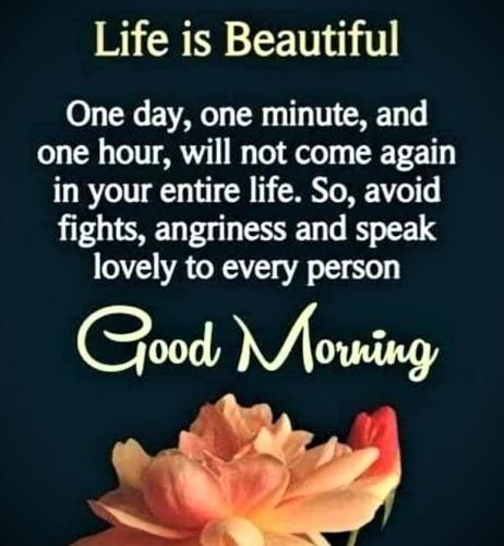 071026 - Life is beautiful