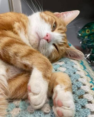 3b07060c-4f3c-4511-950d-ce13d1d393e6