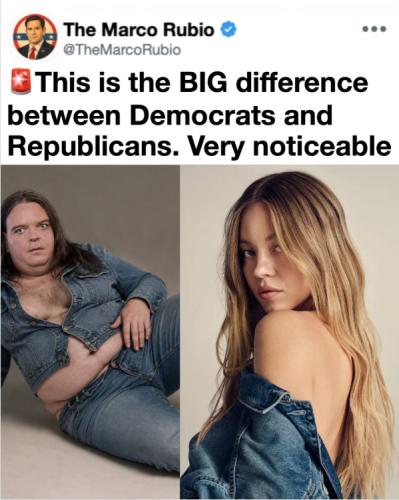 rubio