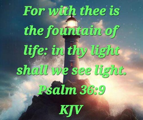 542c7cc8-45fc-44b1-bffd-bf198e5698b8