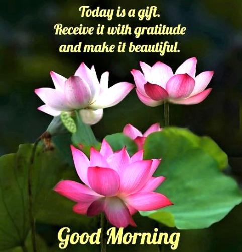 072926 - Today a gift