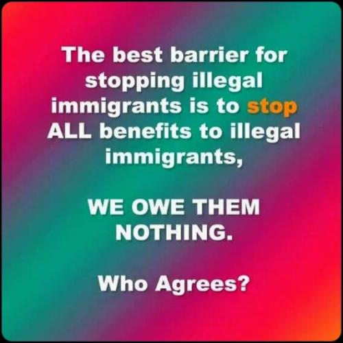 barrier-stopping-illegals