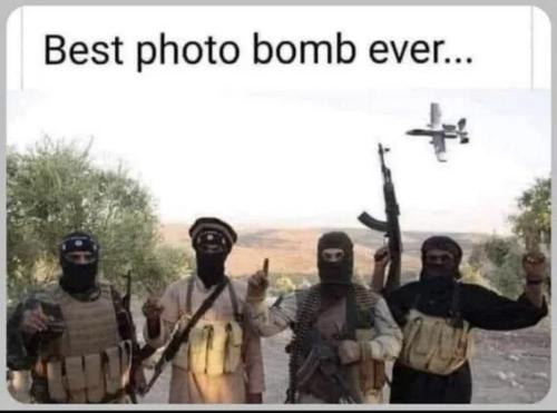 best-photo-bomb