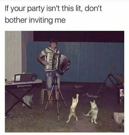 party-lit