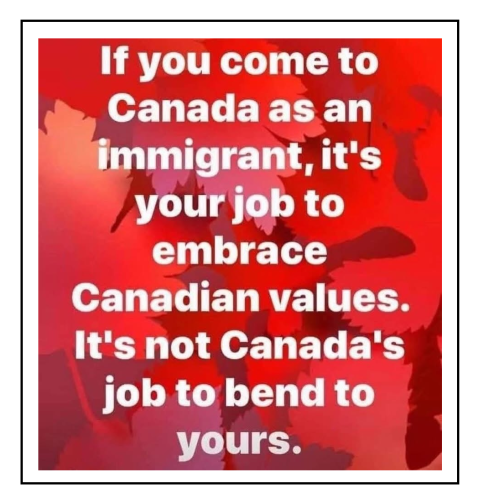 embrace our values