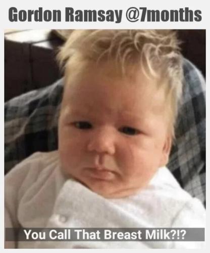 gordon-ramsey-7mos