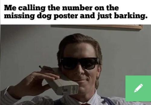 calling-number-and-barking