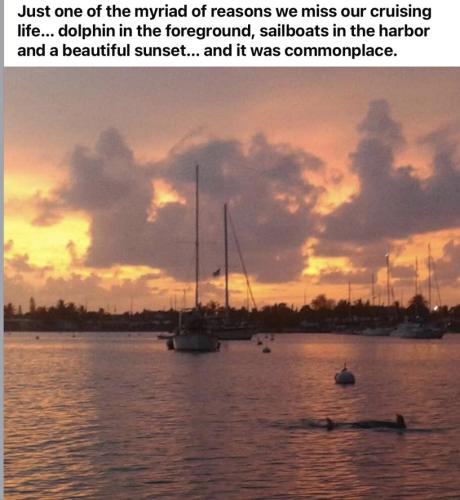 IMG_5503