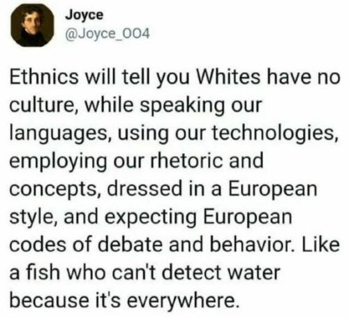ethnis-say-white-no-culture