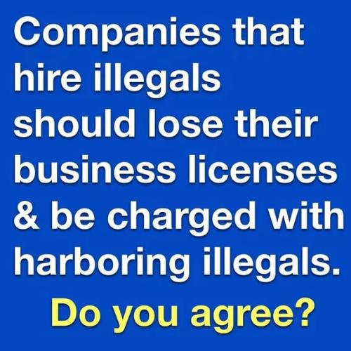 ILLEGALS BUSINESS