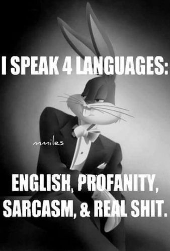 image_FCD57B89-DDEF-4B75-B4CF-123CDEA5D6B1