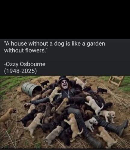 5678