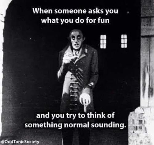 what-do-you-do-for-fun