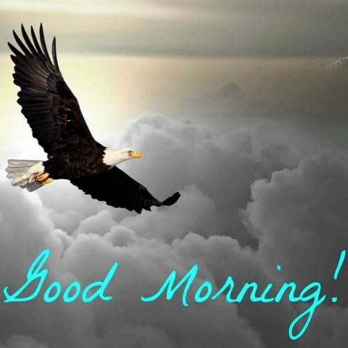 0a0a0a MEME - Good Morning Eagle IMG_0199