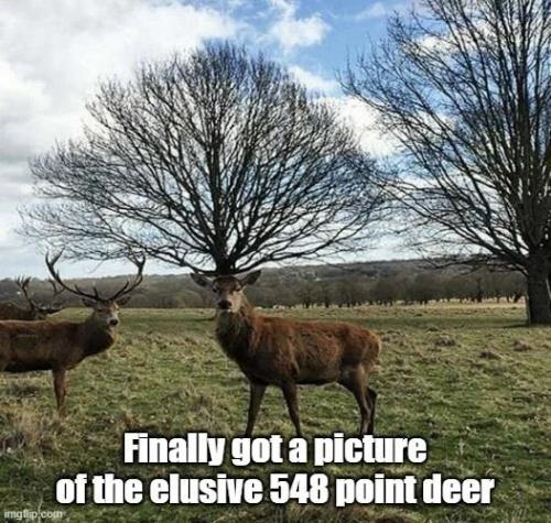 5463
