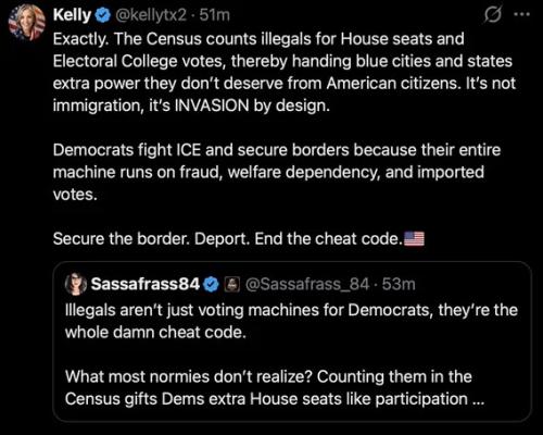dems-cheat-population