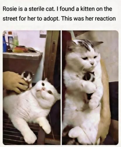 5580