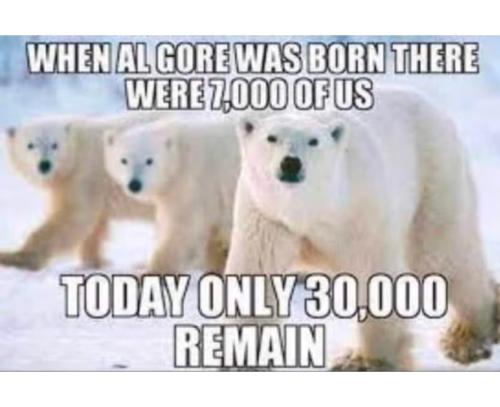 polar beats al gore