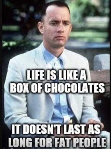 life-like-box-of-chocolates