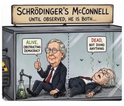schrodingers'-mcconnell