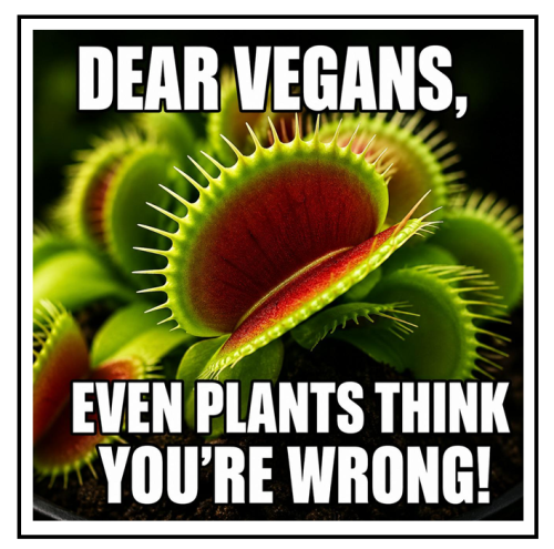 dear vegans