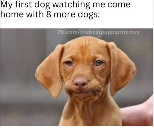 12766
