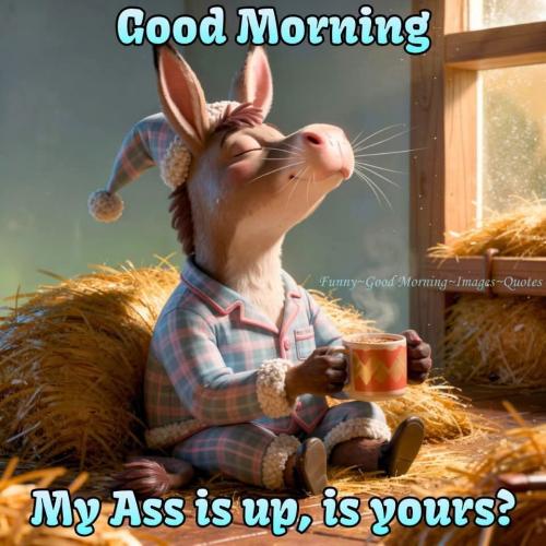 FB_IMG_1785806159830
