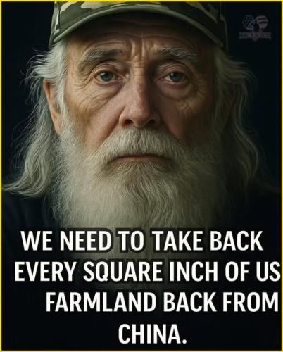 Farmland