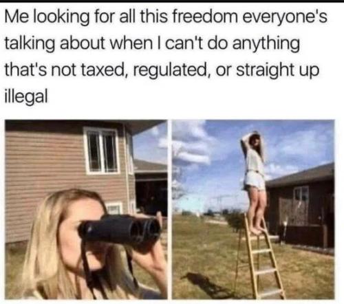 looking-at-all-this-freedom