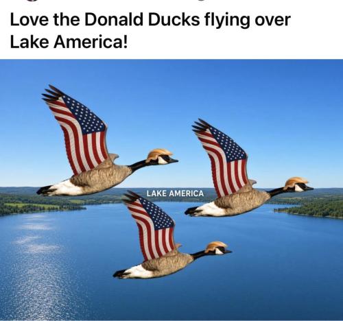 1EFE240C-9C7B-4240-B010-A11246499F1F-14512-00000234AF5B896A